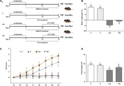 Transcriptome and Gut Microbiota Profiling Revealed the Protective Effect of Tibetan Tea on Ulcerative Colitis in Mice